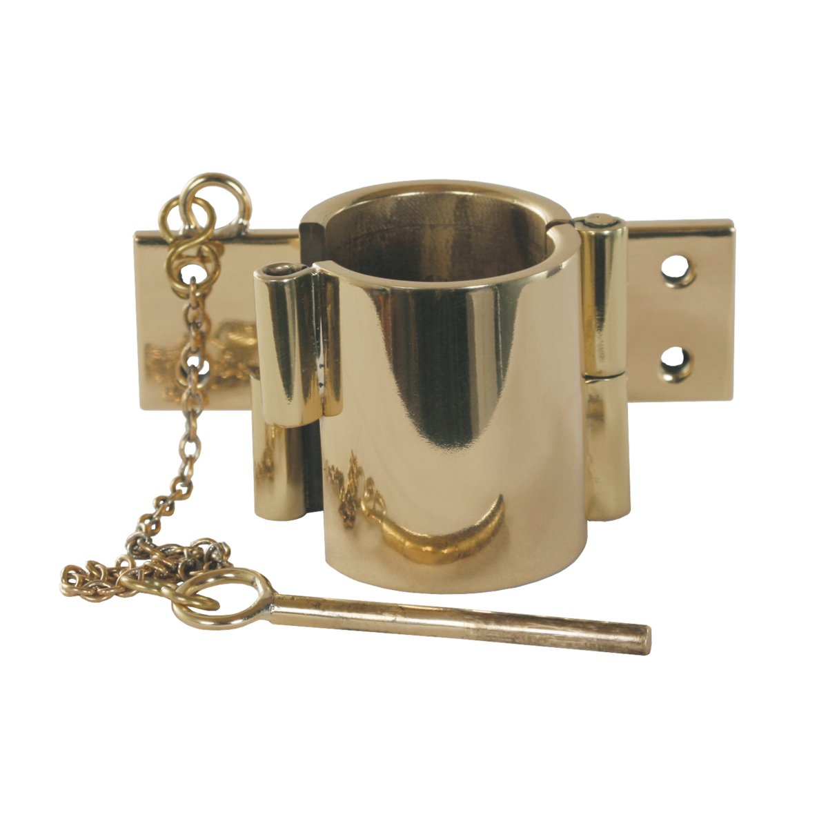 Pole Hinged Clip & Socket - Hayes & Finch